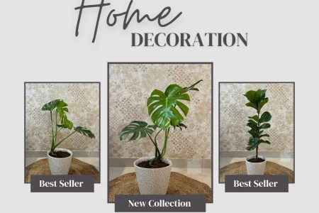 Gift A Plant for Special Moments in Life. #homedecor #indoorplants #Goa #customdecor #made2order #giftAplant #personalised +919823927304 Stanley Telles #JMJGreenLane